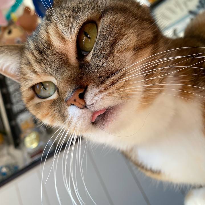 B834a413 54bd 4df9 baad 040569a10dff 1644198800815