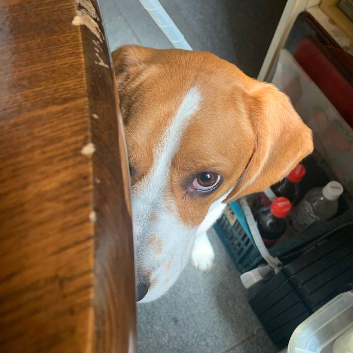 B834a4d3 ec6d 447c 8aa3 acfa318aeb75 1599276770932