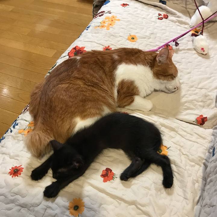 B834b73e 9e72 4a2e bd08 13f9ae47b3b5 1561889799016