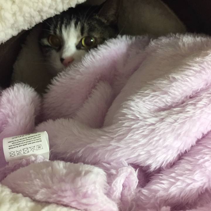 B834fb38 f89b 45ee 9759 637c0cf3b044 1513950357372