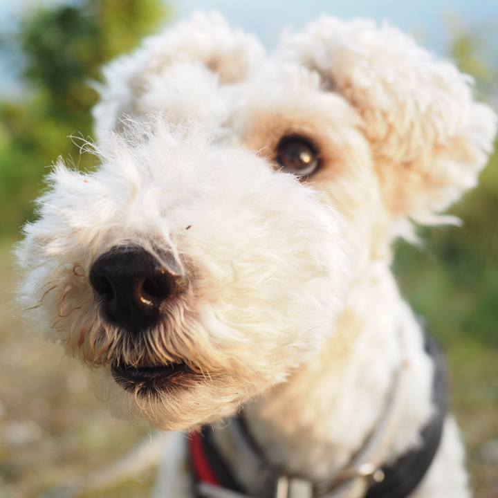 B83562a0 3d0d 4b73 a94f 415a19b61e54 1558825246179