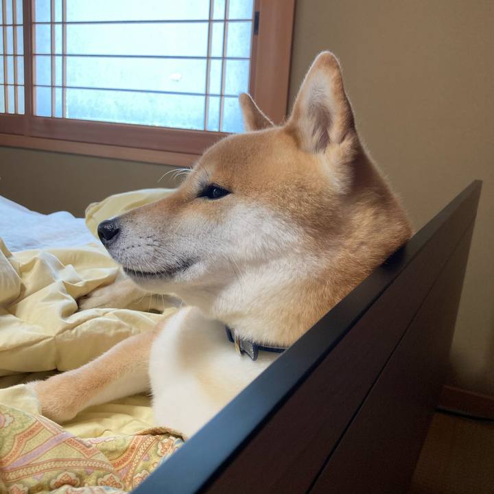 B835638a a29b 4dfd a24b 3d971eedf986 1659519274845