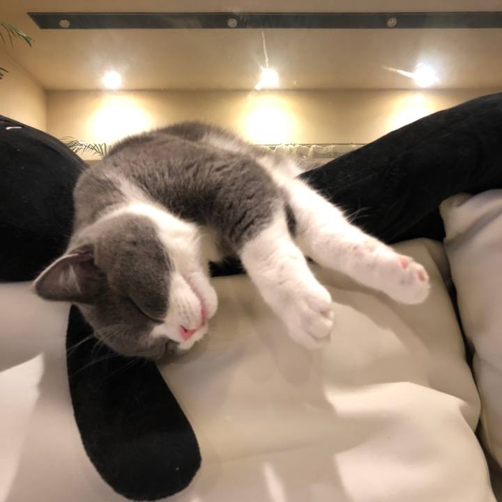 B8359628 366f 453c ade0 42f8e1466385 1515151861253