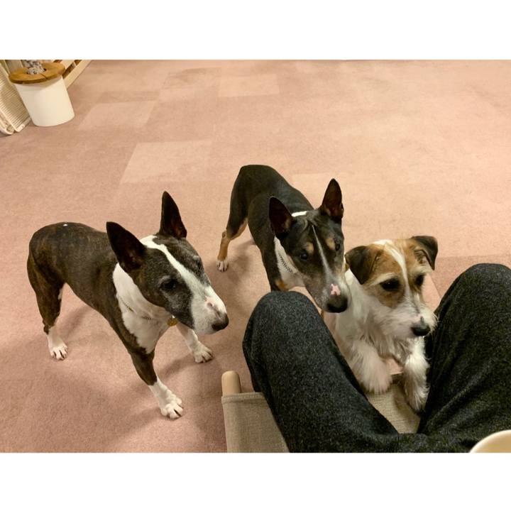 B835968b 2826 4c5e 890e 6014166775a0 1585652500894