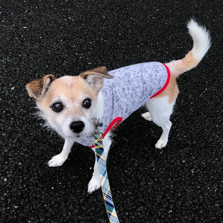 B8359ae4 0024 437d 9e6d d0f0db40d2db 1663020324944