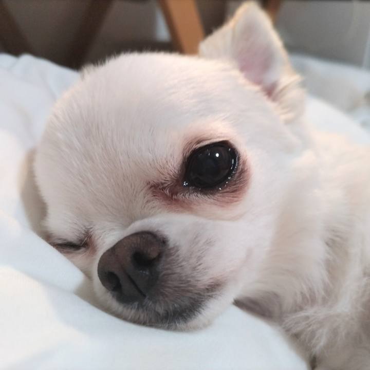 B835b701 5555 42c4 a679 3333e5bf6797 1751195010315