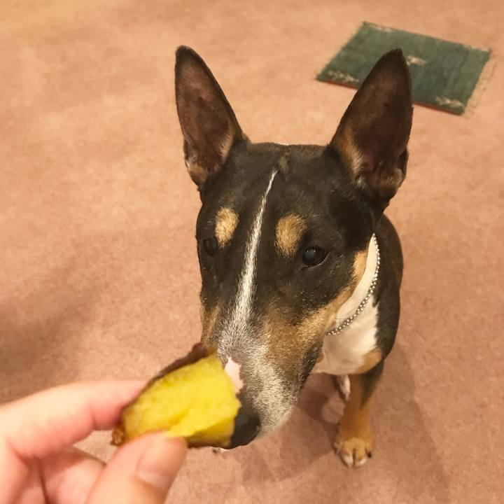 B835bf7b e774 417b 98c2 17d9c5e80569 1527252311385