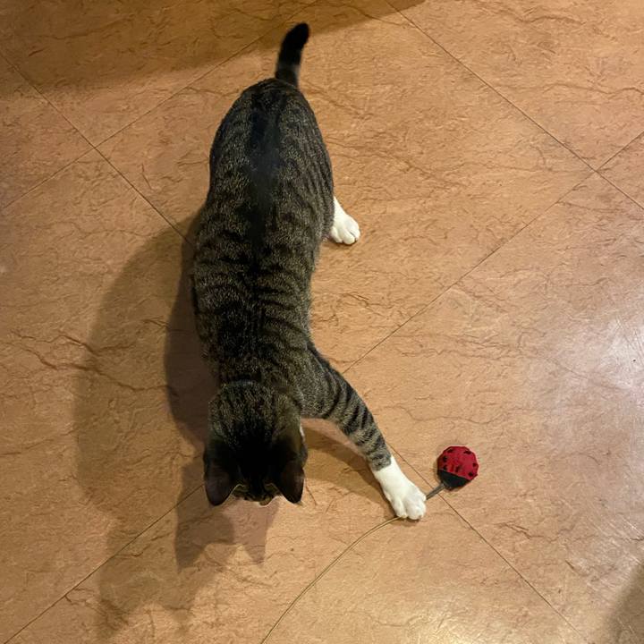 B835d1c8 220e 4ef4 9303 25d0097c8e19 1642151192281