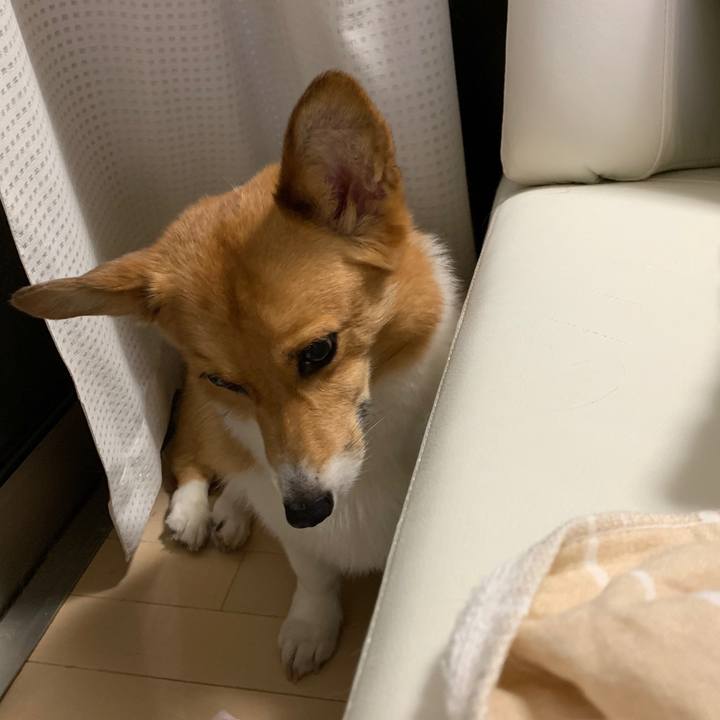 B835fcf5 f734 4dd0 a7c3 28dc84141120 1562410217054