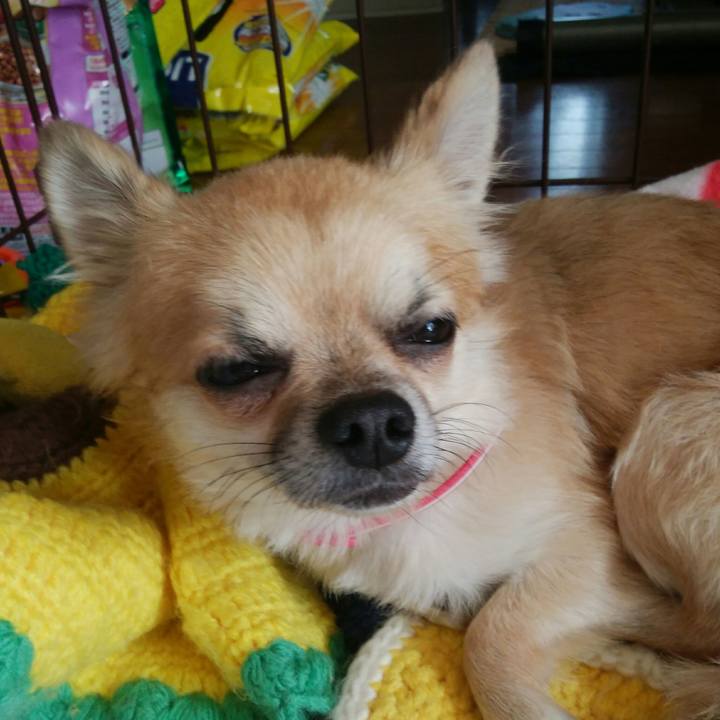 B8367f3a 9f6a 46ee ae7b c6cf6e73569c 1508995076143