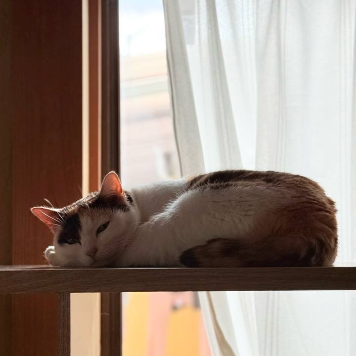 B8367f55 814a 428c 94f2 3d0f863bbbe7 1767145971288