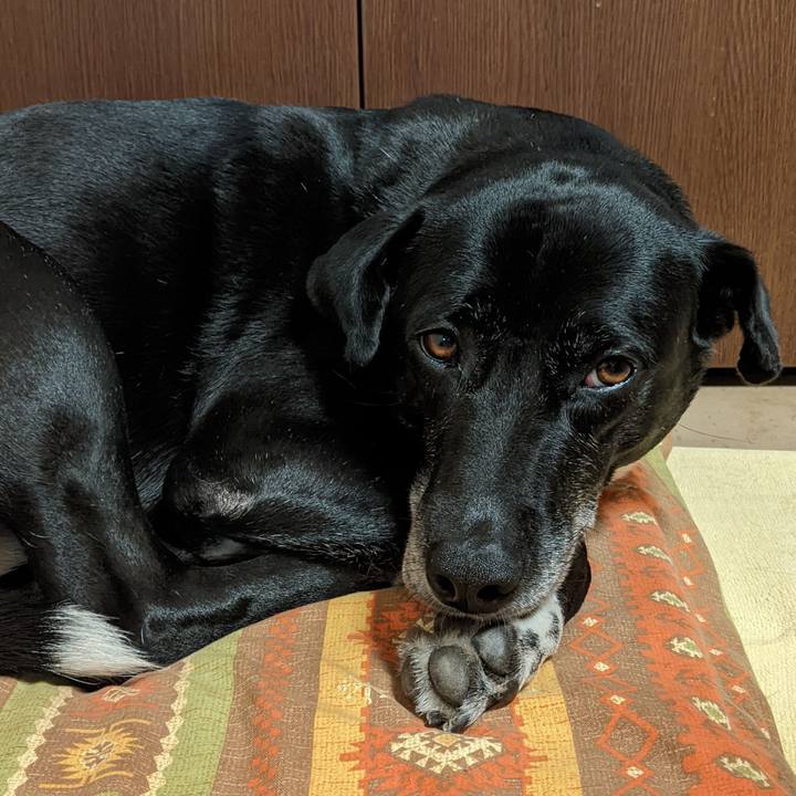 B836959c b91c 458d 937b be08cff48713 1686360499188