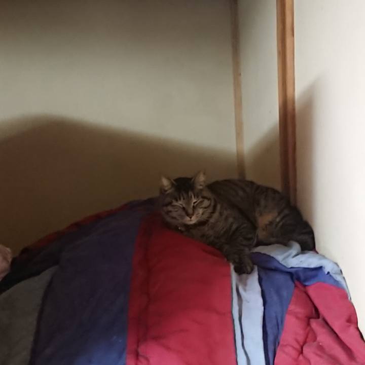 B836a027 1da9 45dc 922a 08aa2a2ce561 1651061204205