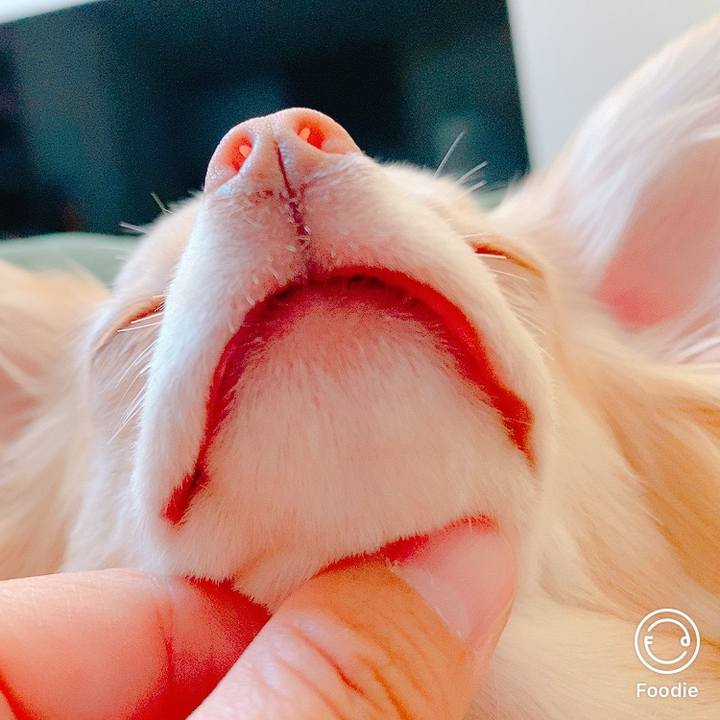 B836a4a6 c385 42bc a7db 0c848130a228 1623468104402