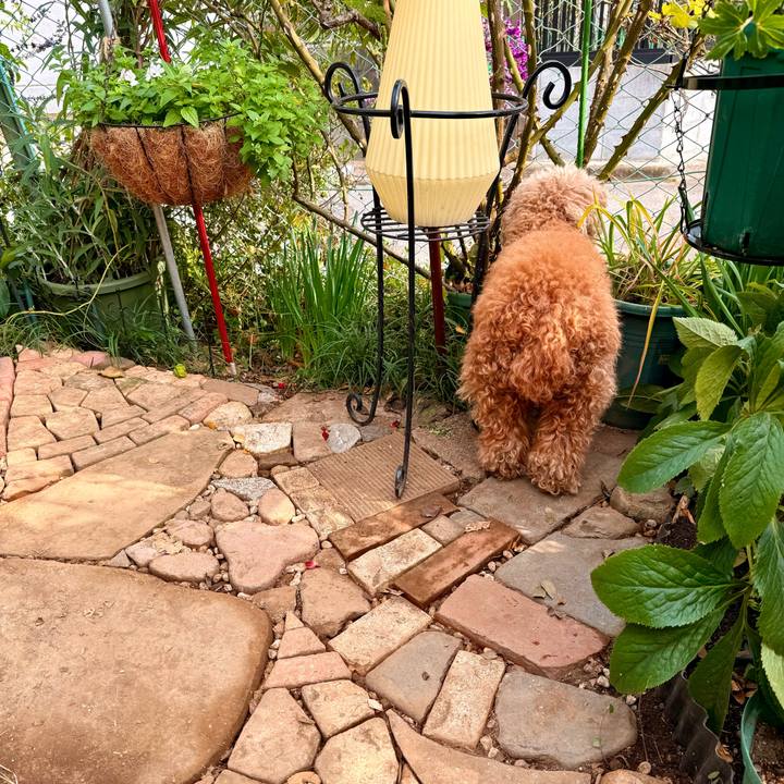 B836c60b 9e64 494a b61c 5c5ce3629ae8 1764673372828