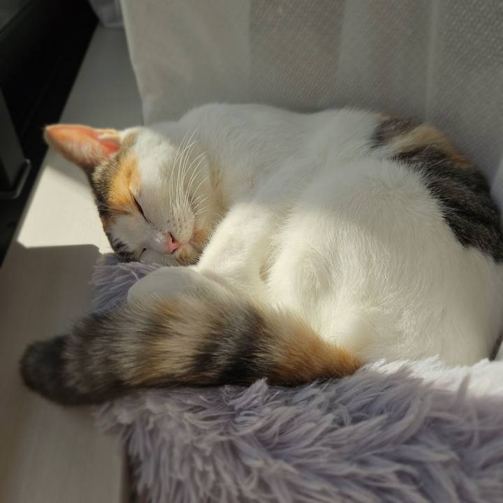 B836e070 07e4 4b07 a98d 576734ddd14c 1762646895681