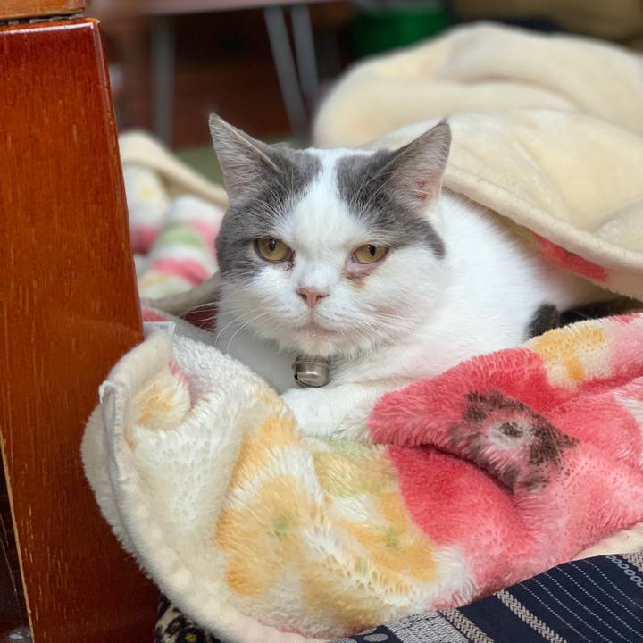 B836f228 1935 4a3c b142 d139556f9acb 1666400086486