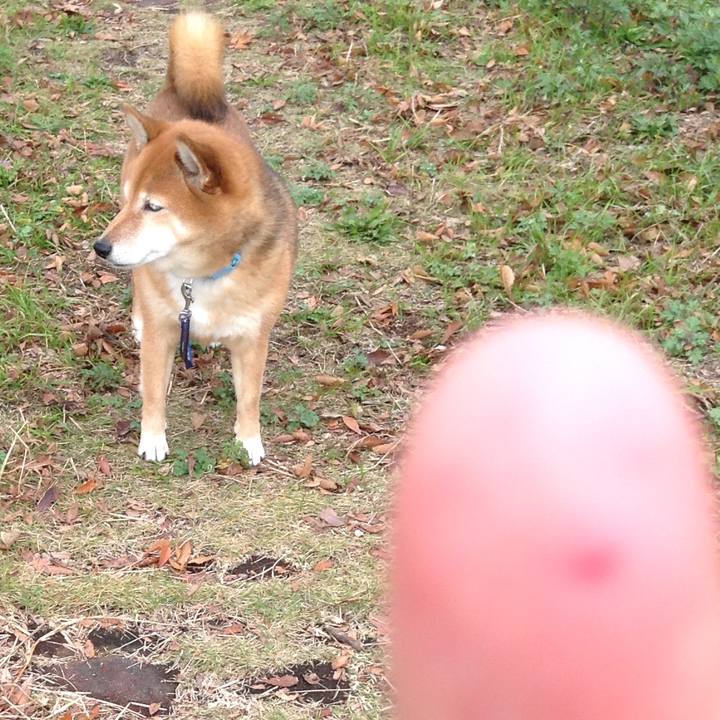 B8370203 dce4 4260 b155 69b5d5031927 1544157726690