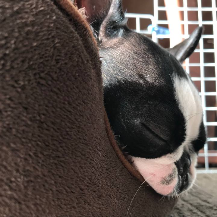 B837375b f873 463c 96a5 720bb4c6812c 1511698608596