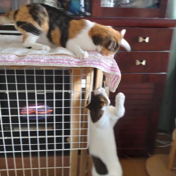 B8375a5e 5d74 44e8 9ed0 62fbd6287ab6 1672361780303