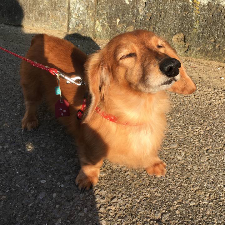 B837eabc dcc9 47b3 a421 c6b49ff26af0 1584273668346