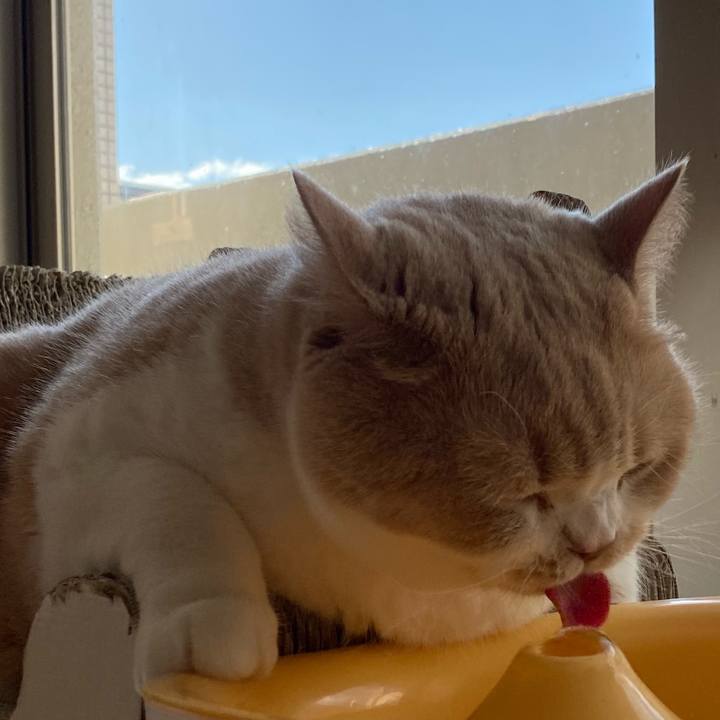 B837f902 0c43 49f0 b798 b8b290f3aae5 1604020642540