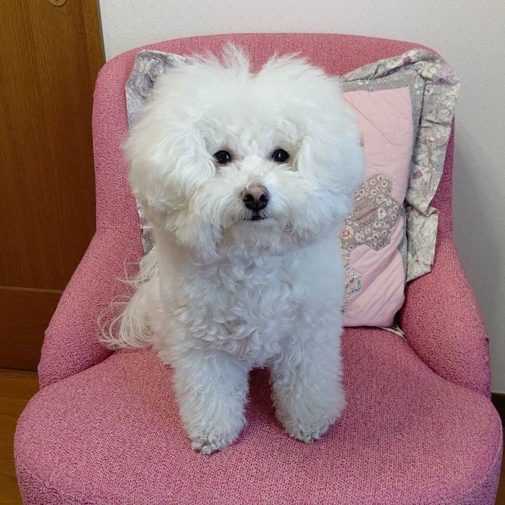 B83824b0 589d 4737 a36e 11e6ee5e20f6 1586852727906