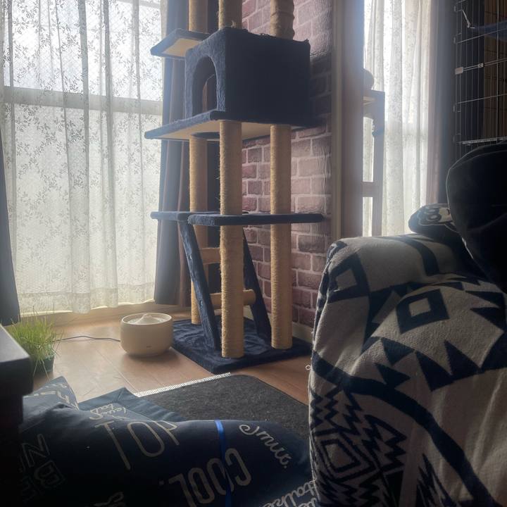 B83828a1 21d1 4240 86b8 2c3e7e261807 1750475021790