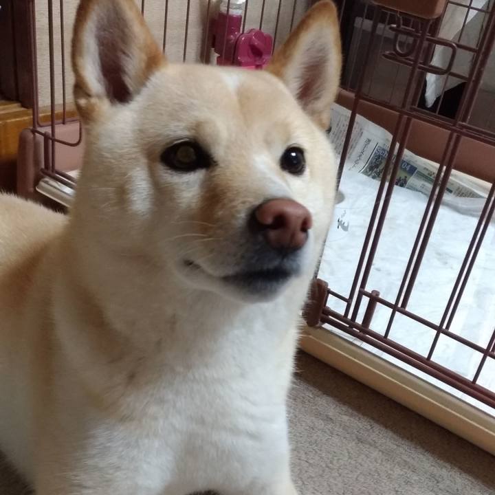 B838331d e236 4a72 9fa4 a922afed6b4c 1590531207206