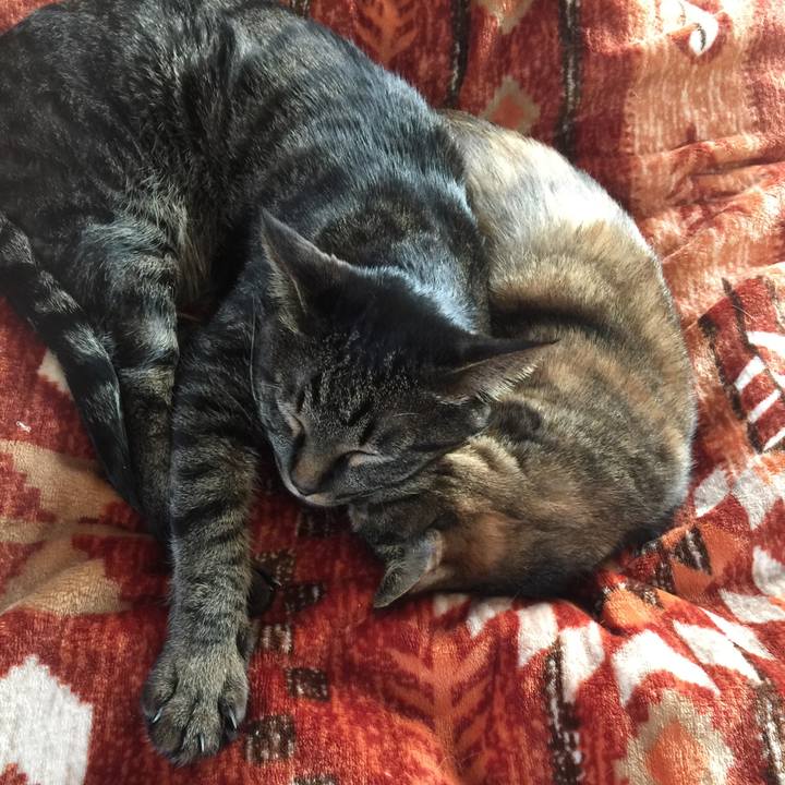 B83837e8 5b2a 452a bde3 252fc5d526ae 1522567122950