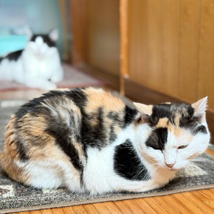 B838397e a6f3 4a8d 98b2 e38ab52c4791 1751164186683