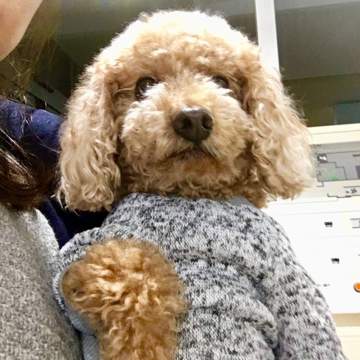 B8384618 387e 4bb3 bfc7 e1e10d0c8723 1510209664810