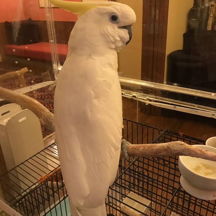 B83851ed d516 445c 82b9 9ea7eff3794d 1538915795220