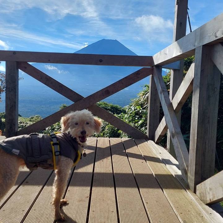 B8385a1a e525 4837 810a 1904c6f70d12 1693624937536