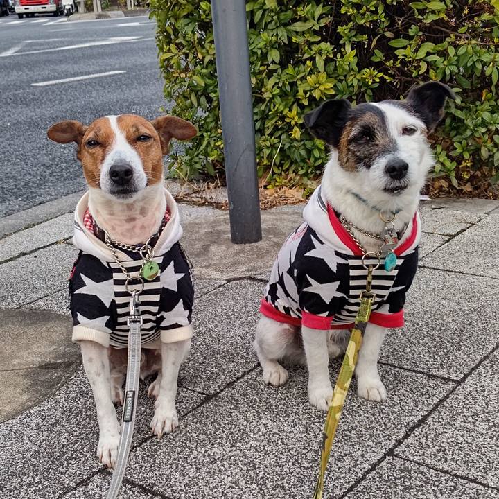 B838725d d3f9 4ae1 bfd5 6e25408d5fc5 1676328127891