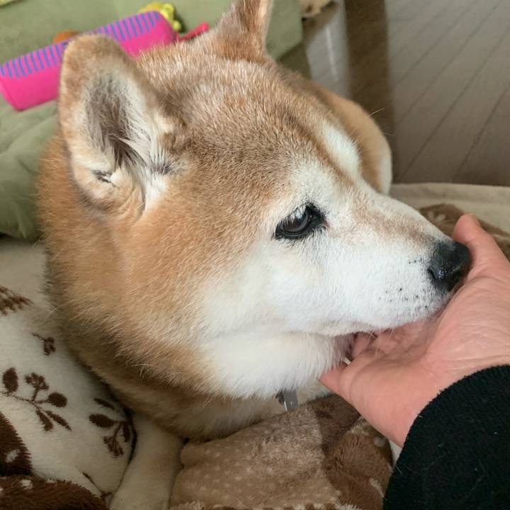 B8387d28 f8fe 42e3 b00a 7588976cfda0 1587189994393