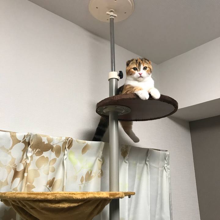 B8387e5e 5f36 41b5 b243 49e5cbf6bdb4 1510146036068