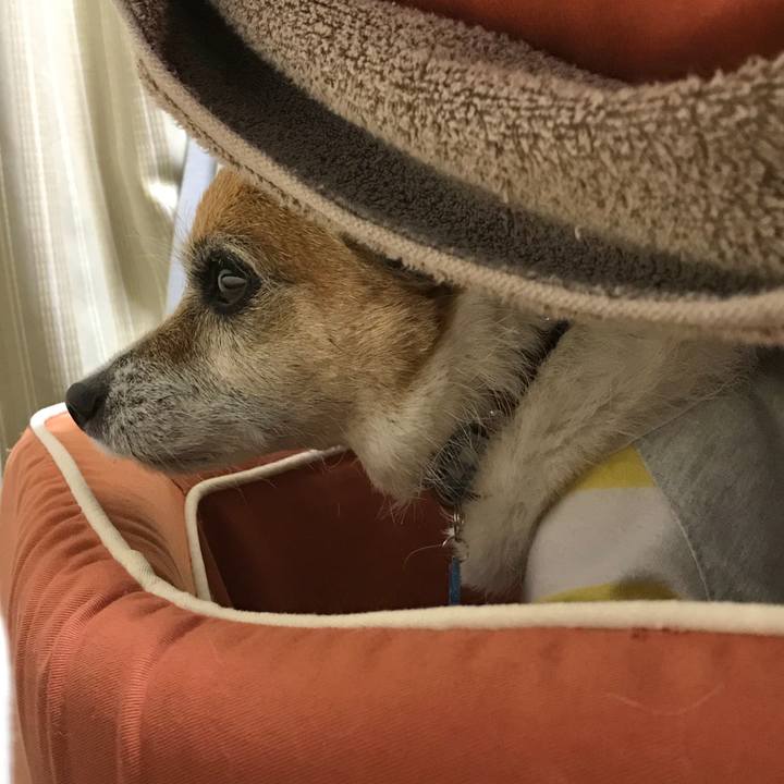 B83880c9 5b52 41e3 8dd2 838f6f5087bc 1588422681274