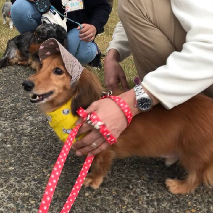 B838a0b8 6689 40de 88d8 c2972fd66165 1509862012924