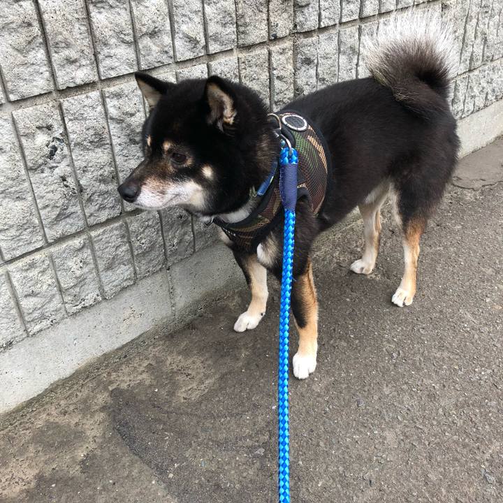 B838b2e2 e0aa 46b1 9f4b ac43b296c7e0 1535491295407