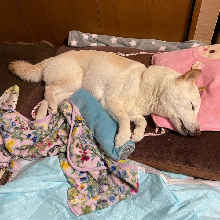 B838bcc5 cd2b 41cd 801e bcb5fd4f27e5 1650706122883