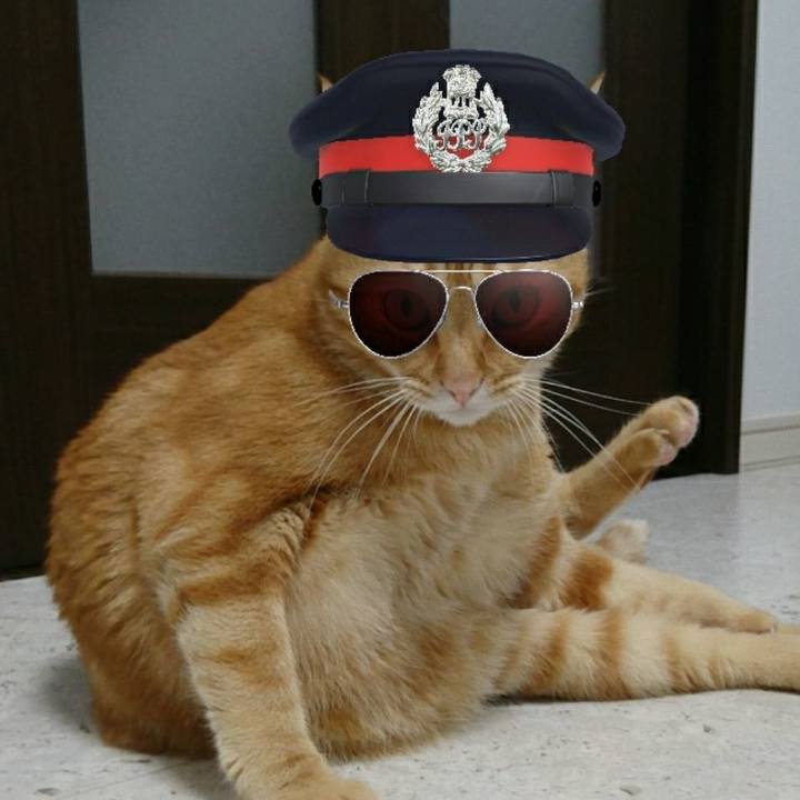 B838d88a 2924 4047 969f f4723831548a 1561892426568