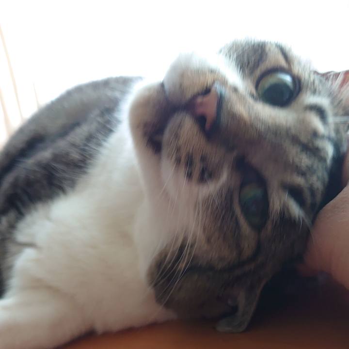 B83921d4 825f 4a92 8c3e fb0fbc3f3b41 1691882919878