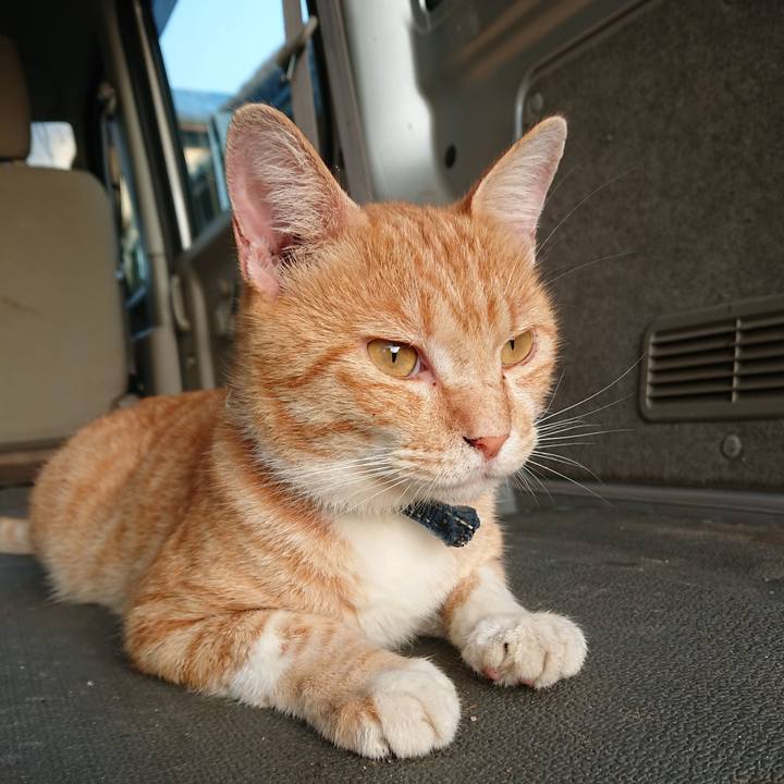 B8395185 b642 41fc b35e 0f705d4a81ae 1564868433873