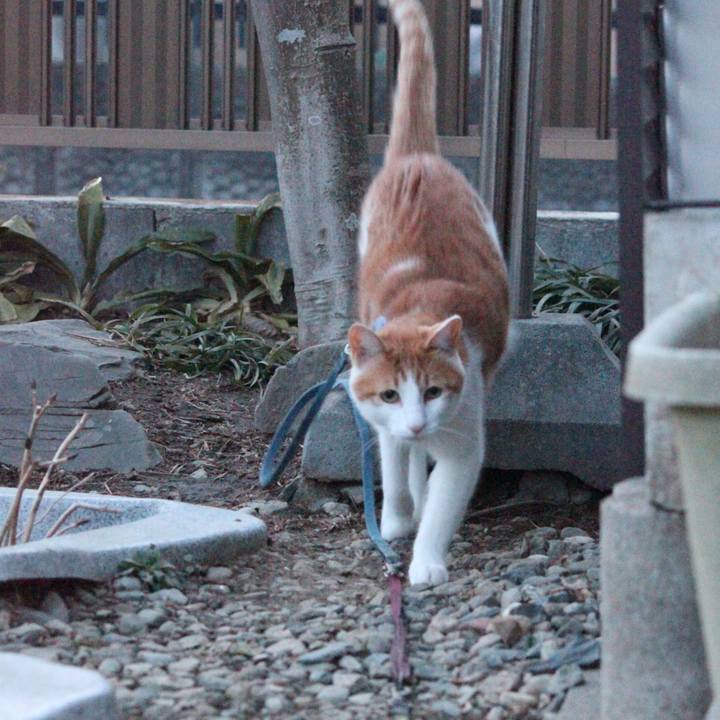 B8397145 2303 4877 80c1 e02ba9d42adf 1517823685132