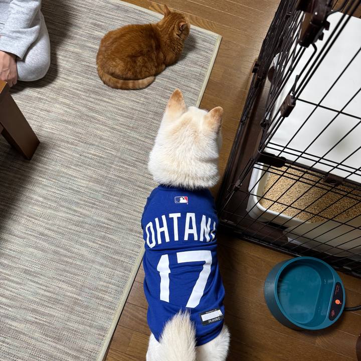 B8398748 d3c5 49c8 aeee 9411d76ebeff 1742300861964