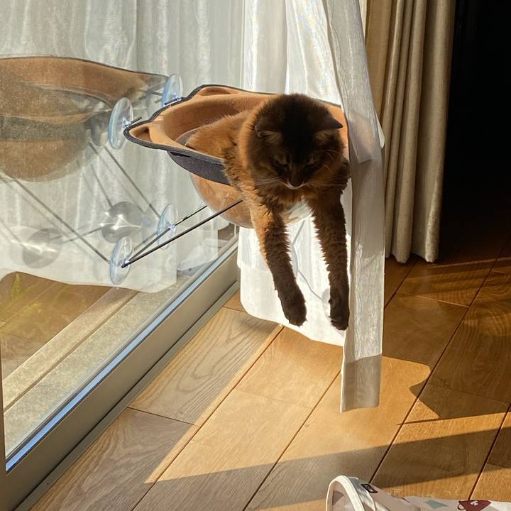 B8398ac3 c419 4df8 8ff3 a523e639745d 1642554378710