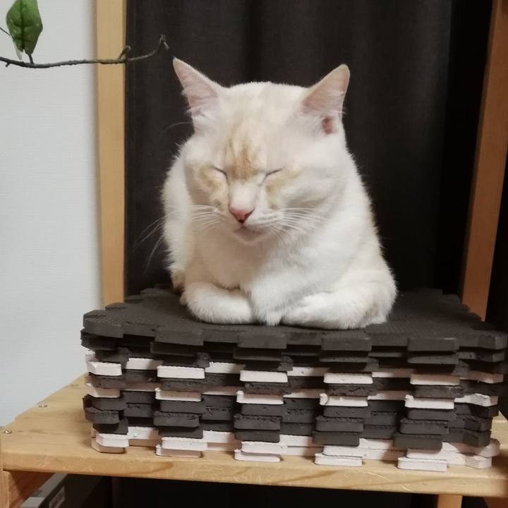 B8399e57 6e6c 4b54 b186 78de6966322c 1637101827030