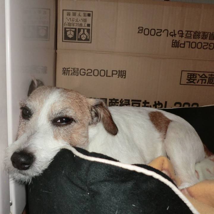 B839ae18 9933 48ce 94cf 05e2161c0619 1556635461011