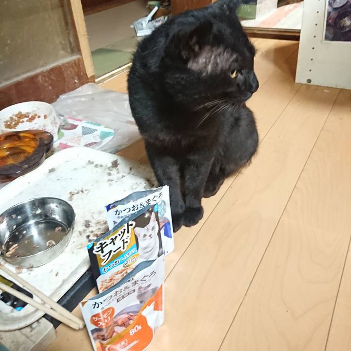 B839df03 375d 4eb8 b996 4ef62daedd09 1627732682150